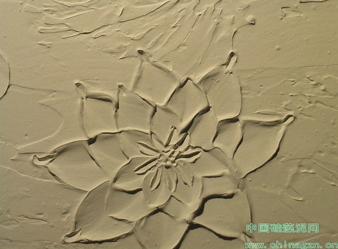 硅藻泥现场图